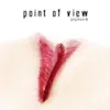 Point of View - Popmusik