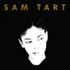 Sam Tart - Pebbles - Single